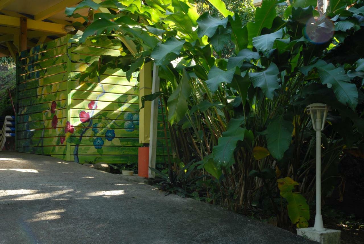 Green House Deshaies Buitenkant foto